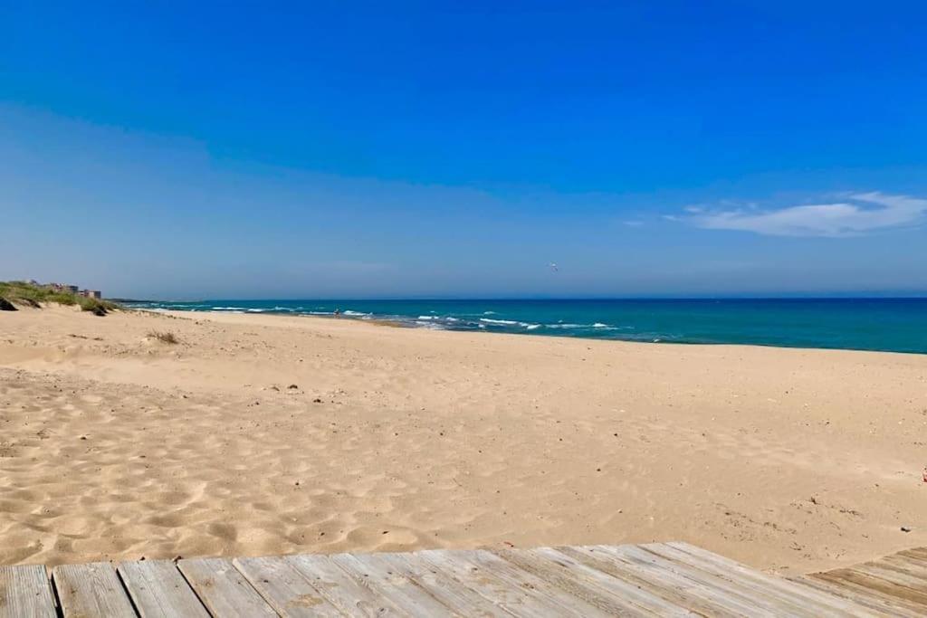 Azul Beach By La Mata Beach Torrevieja Buitenkant foto